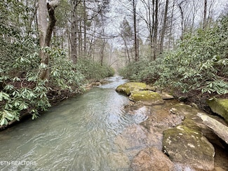 0 Wolf Creek Rd Unit 1312972, Robbins, TN 37852