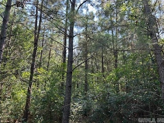 35 acres Behind St John, Hope, AR 71801
