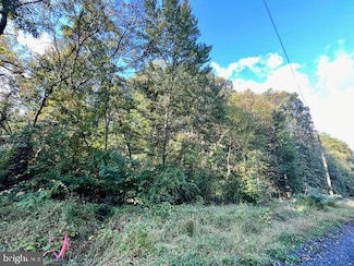 0 Short Mountain Rd, Edinburg, VA 22824
