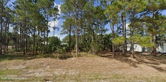 247 Sawyer St SW, Palm Bay, FL 32908