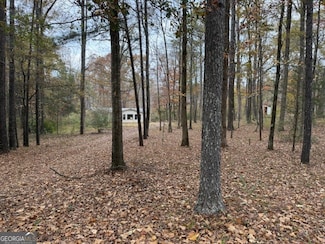 780 Gardner Rd, Stockbridge, GA 30281