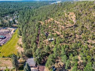 0 E Ellsworth Rd, Show Low, AZ 85901
