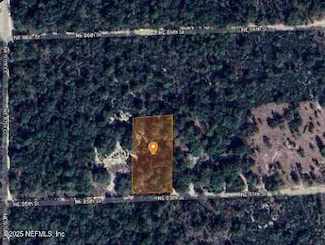 0 NE 85 St Unit 2078556, Bronson, FL 32621