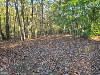 3 Whiting Ave, Boyce, VA 22620