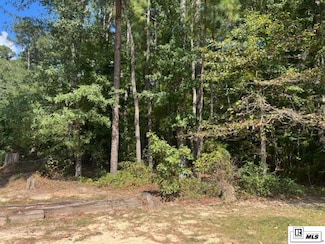 119 Cove View Rd, Grambling, LA 71245