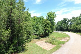 000 Anderson County Road 2101, Palestine, TX 75801