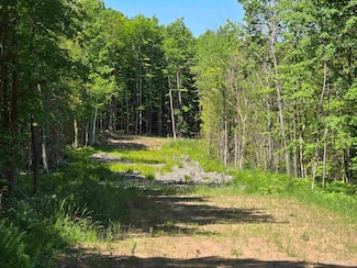 1504 Sugar Maple Ln, Houghton, MI 49931