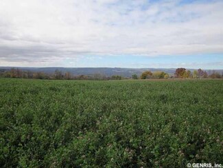 0 State Route 63 S Unit R260520, Wayland, NY 14437
