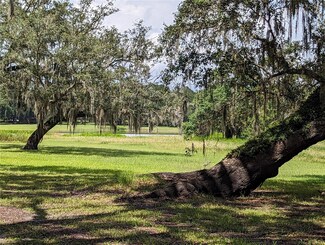 17338 Palamino Lake Dr, Dade City, FL 33523