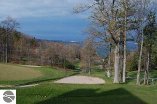 20 Chimney Ridge Unit 20, Glen Arbor, MI 49636