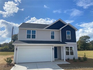 139 (Lot 6) Buggy Top Ln, Autryville, NC 28318