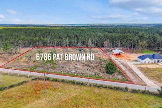 6786 Pat Brown Rd, Milton, FL 32570
