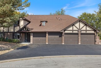 1402 Princeton Ct Unit D, Wheaton, IL 60189