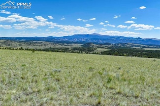 0 Witcher Mountain Trail Unit 4343916, Guffey, CO 80820
