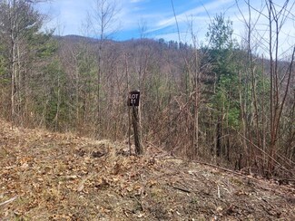 0 Garnet Rd Unit 26036109, Sylva, NC 28779