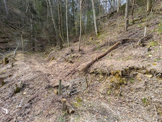 Tbd Cove Creek Rd, Bristol, VA 24202