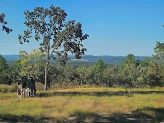 000 Hartshorn Ct, Hot Springs, AR 71913