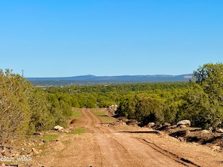 0 Mustang Ln Lot D & E 4 8 Acres Unit 258682, Show Low, AZ 85901