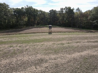 00 Union Grove Rd, Greenville, IL 62246