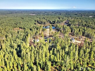 701 W Clear Lake Dr, Skokomish, WA 98584