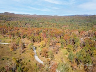 Lot 2-A Clearview Dr Unit 2-A, Cedar Mountain, NC 28718