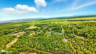 13802 W Britt Ave, Houston, AK 99694