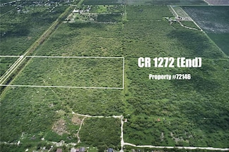 CR 1272 (End), Sinton, TX 78387