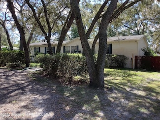 34926 Punch Rd, Dade City, FL 33523