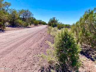 TBD Co Rd 8269 Lots 150 & 151 --, Concho, AZ 85924