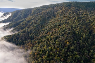 0 Robertson Mountain Rd, Narrows, VA 24124