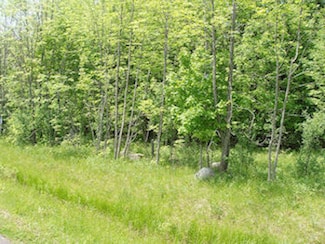 4th Add. Margaret Ln Unit Lot 13, Park Falls, WI 54552