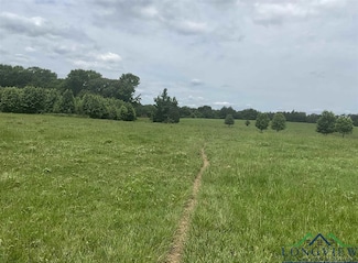 TBD County Road 2314, Pittsburg, TX 75686