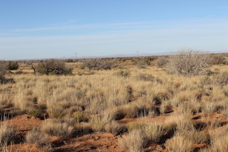 Lot 224 Ccr - Unit 224, Heber, AZ 85928