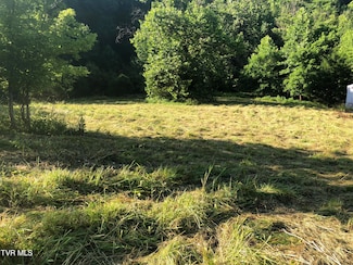 TBD Gottland Shoals Rd, Blountville, TN 37617
