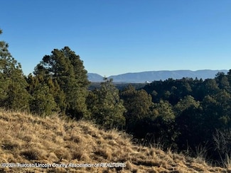 1401 High Mesa Dr, Alto, NM 88312