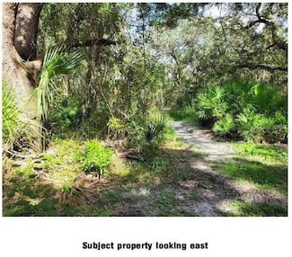 0 Lantana Ave, Clearwater, FL 33755