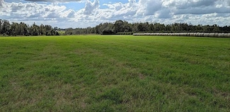 0 Amberlea Rd, Dade City, FL 33523