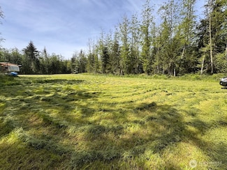 4434 Pacific Dogwood Dr, Greenbank, WA 98253