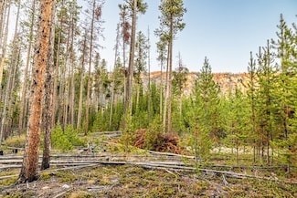 Lot 2 TBD Harris Rd, Anaconda, MT 59711