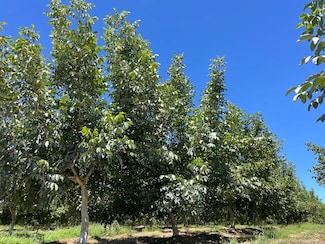 21875 Hatfield Rd, Red Bluff, CA 96080