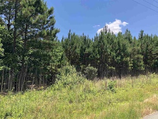 0 Mount Zion Church Rd, Apex, NC 27502