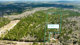 TBD White Creek Rd, Ponce de Leon, FL 32455