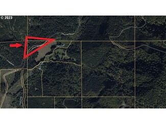 0 Cherry Creek Rd, Myrtle Point, OR 97458