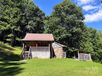 10120 Meadow Fork Rd, Hot Springs, NC 28743
