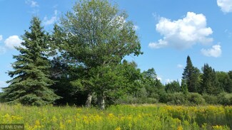Parcel A W Mud Lake Rd, Lakeview Township, MN 55798