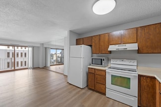 121 Washington Ave S Unit 1007, Minneapolis, MN 55401
