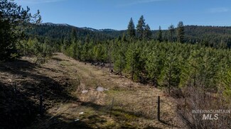 003 Owen Lane (30 25+ -Ac), Bovill, ID 83806