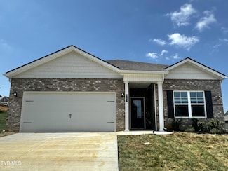 610 Canoe St, Johnson City, TN 37604
