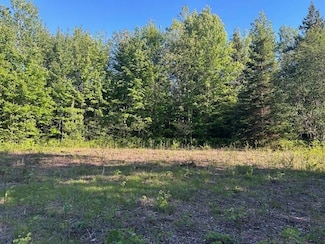 8586 N Us 31, Levering, MI 49755