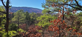 00001 Indian Hwy, Albion, OK 74521